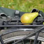 Bicycle Pear Travel Bike Food  - matthiasboeckel / Pixabay