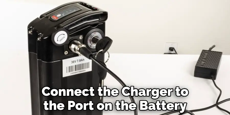 Connect the Charger to the Port on the Battery