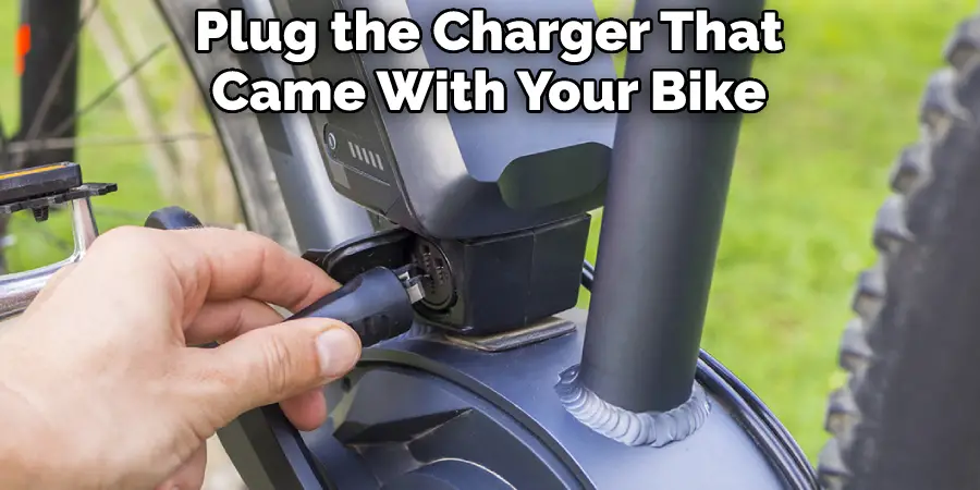 Plug the Charger That Came With Your Bike